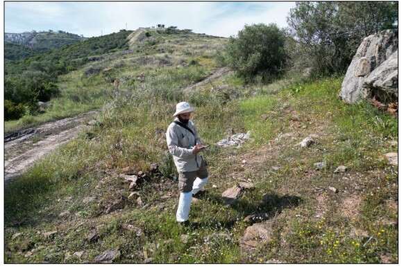 Milas Adabükü’nde 249 Odalı Turizm Tesisi İçin ÇED Süreci Başladı 5